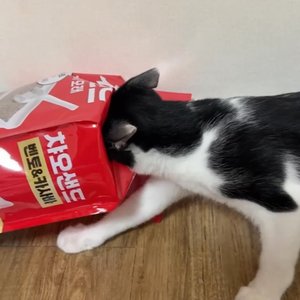 베스트 후기 이미지