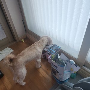 베스트 후기 이미지