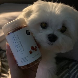 베스트 후기 이미지