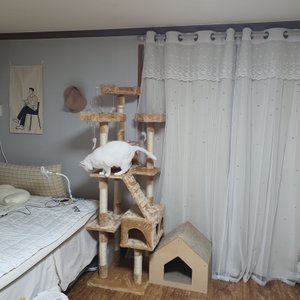 베스트 후기 이미지