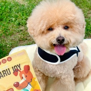 펫생각 독 노즈워크 간식 미니말랑 꿀 바나나 훈련용 보상 칭찬 간식 80g 베스트 후기 이미지