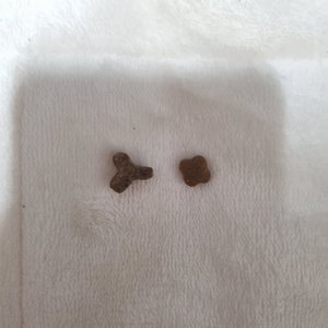 베스트 후기 이미지