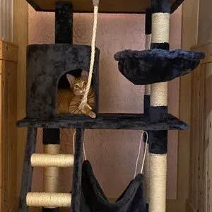 베스트 후기 이미지