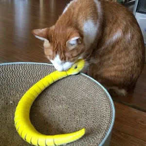 베스트 후기 이미지