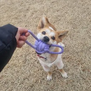 베스트 후기 이미지