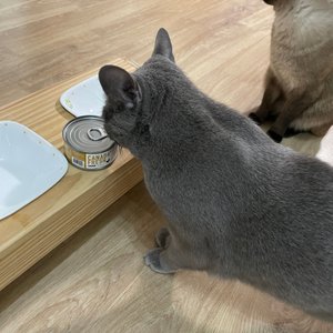 베스트 후기 이미지