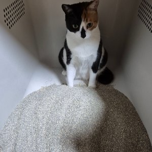 베스트 후기 이미지