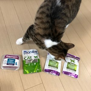 베스트 후기 이미지