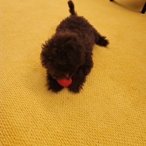 베스트 후기 이미지
