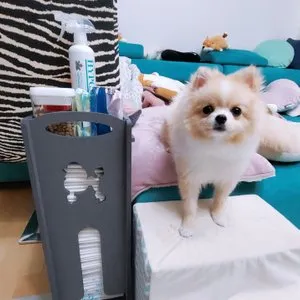 베스트 후기 이미지