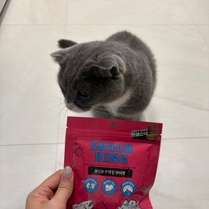 베스트 후기 이미지