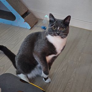 베스트 후기 이미지