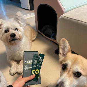 [무료배송] 허글 킵잇 관절&면역 영양제 84g 베스트 후기 이미지