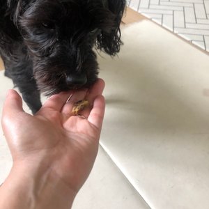 베스트 후기 이미지