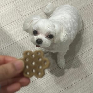 베스트 후기 이미지