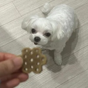 베스트 후기 이미지