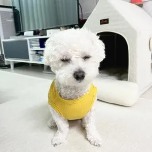 베스트 후기 이미지