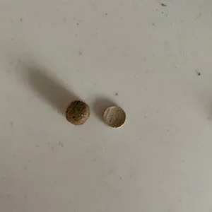 베스트 후기 이미지