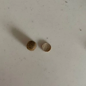 아보덤 독 조인트헬스 그레인프리 4.7kg 베스트 후기 이미지