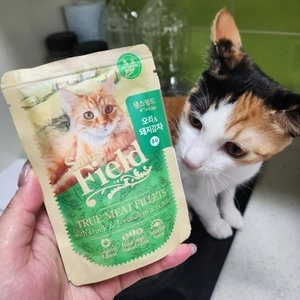 샘스필드 캣 오리&돼지감자 주식 파우치 85g 베스트 후기 이미지