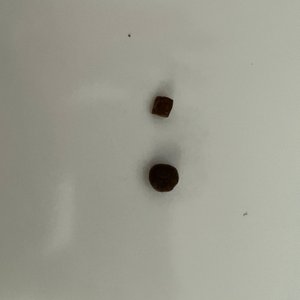 베스트 후기 이미지