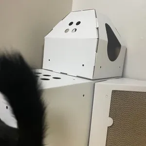 베스트 후기 이미지