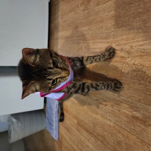 베스트 후기 이미지