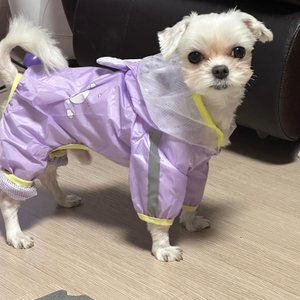 베스트 후기 이미지