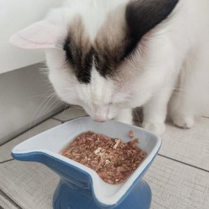 베스트 후기 이미지