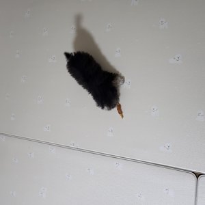 베스트 후기 이미지