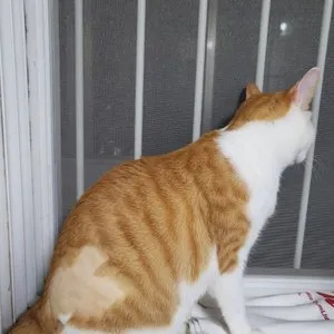 베스트 후기 이미지