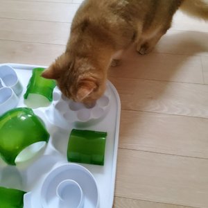 베스트 후기 이미지