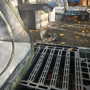 베스트 후기 이미지