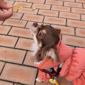 베스트 후기 이미지
