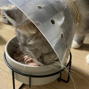 베스트 후기 이미지