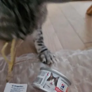 베스트 후기 이미지