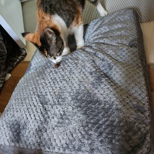 베스트 후기 이미지