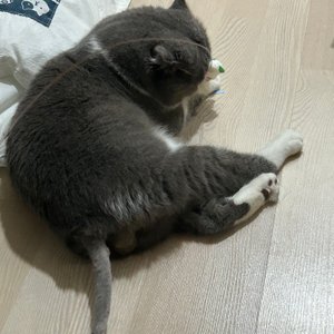 베스트 후기 이미지