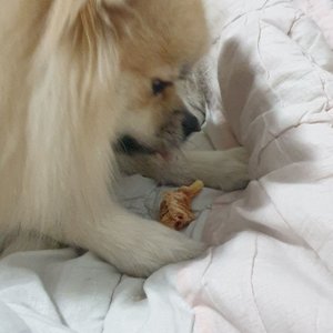 베스트 후기 이미지