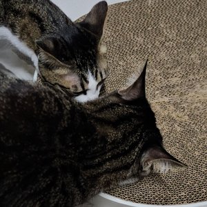 베스트 후기 이미지
