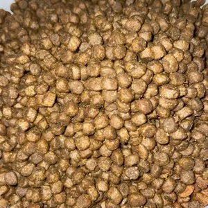 베스트 후기 이미지