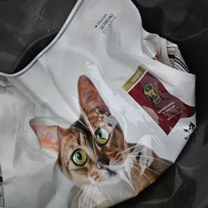 베스트 후기 이미지