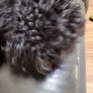베스트 후기 이미지