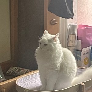 베스트 후기 이미지