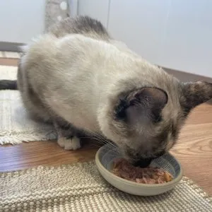 베스트 후기 이미지