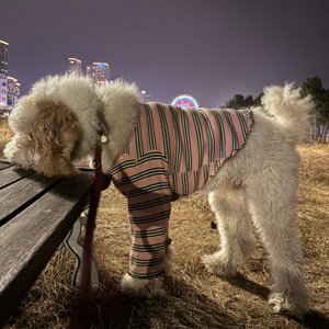 베스트 후기 이미지