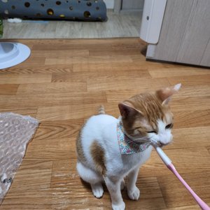베스트 후기 이미지