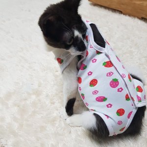 베스트 후기 이미지