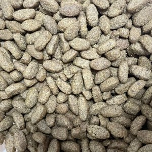 뉴트로 캣 인도어 닭고기&현미 1세이상 2.27kg 베스트 후기 이미지