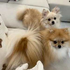 베스트 후기 이미지